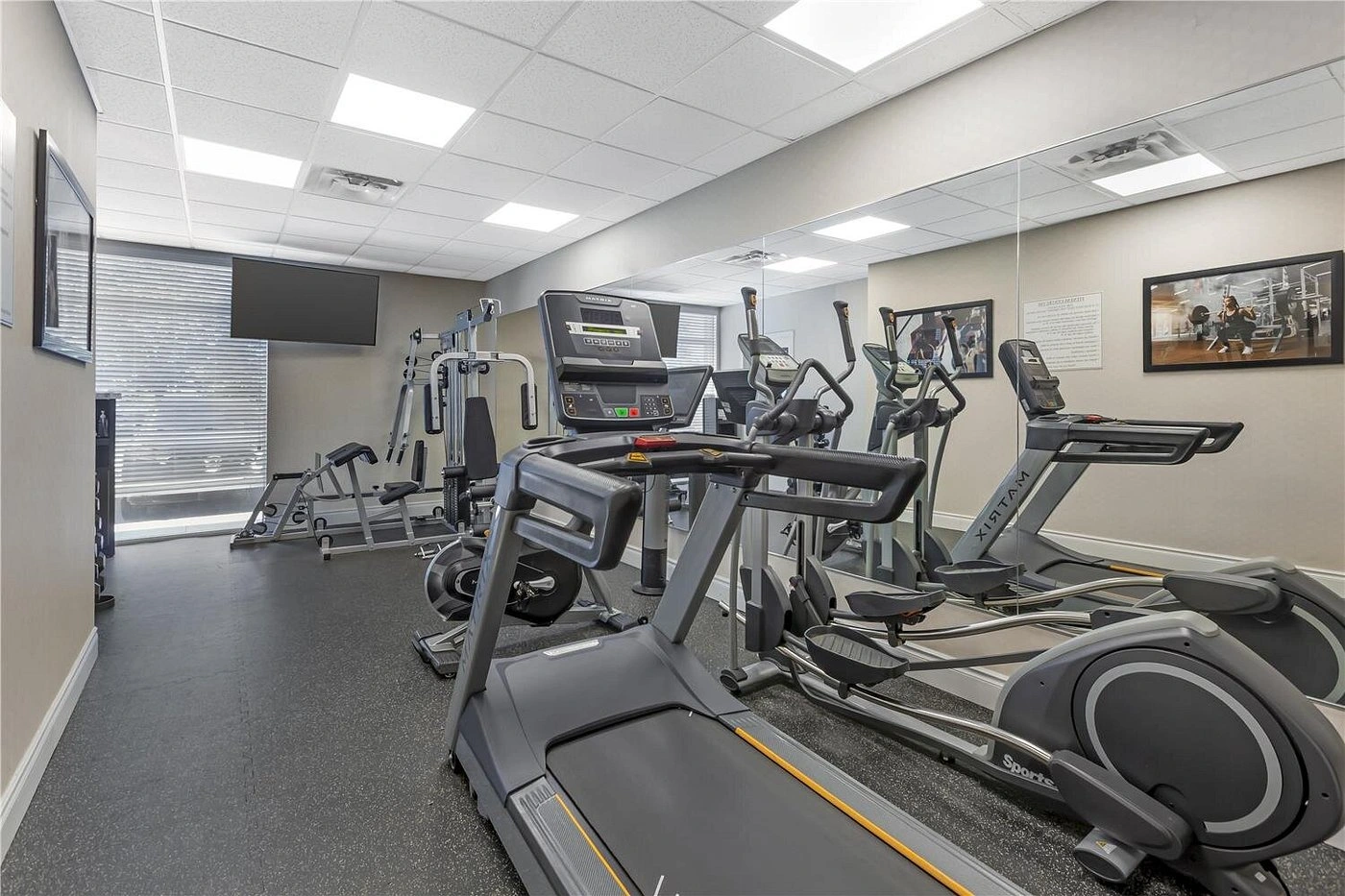 Cardio Equipment